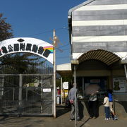 甲府市遊亀公園附属動物園