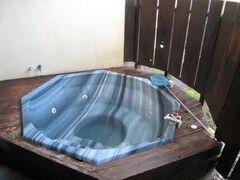 シカモア ミネラル スプリングス 写真