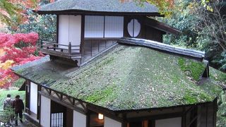 聴秋閣は紅葉の景色が似合います。