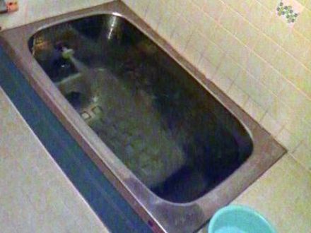 ペンション 白い貝がら 写真