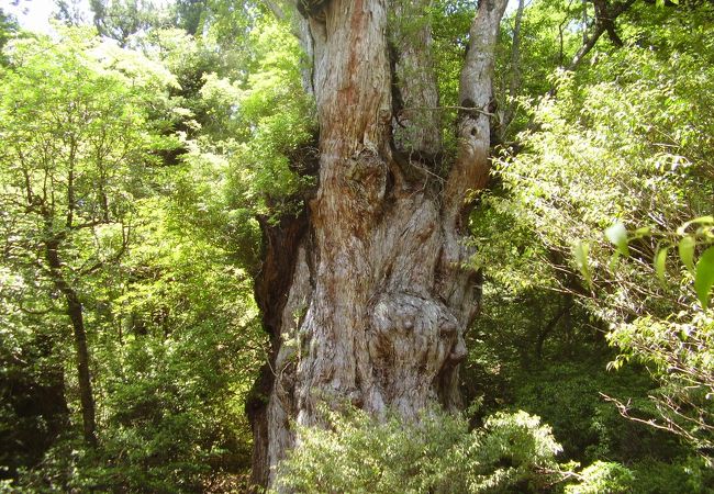 九州地方の世界遺産 クチコミ人気ランキングtop フォートラベル