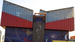 海遊館行くなら