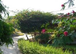 ザ メドウズ リゾート アンド スパ 写真