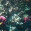 あたたかい雰囲気の旅館です！大家族、子ども連れでもOK！