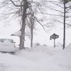 流氷を見に行ったらね