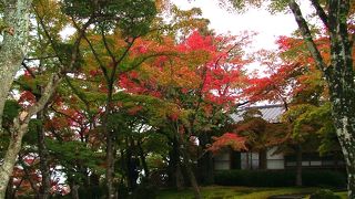 箱根美術館の紅葉は見事です！