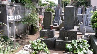 歌川豊国の墓所がある巧運寺、吉良家散策の巻