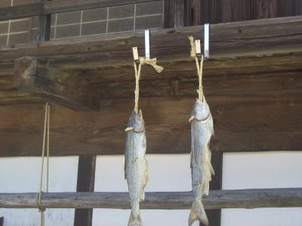 猿ヶ京温泉　蔵やしき野の花畑 写真