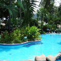 南国ムード満点のプール