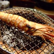 新潟で地魚と地酒を堪能するならココ！