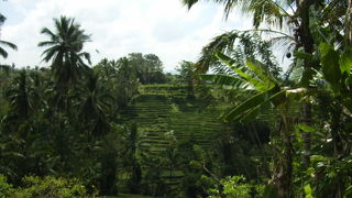 パディ・アドベンチャー　ＡＴＶライド