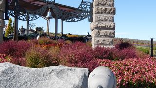 美瑛の丘の風景が楽しめる無料施設『ぜるぶの丘』