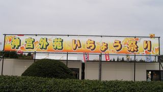 いちょう祭りの明治神宮外苑、青山散策の巻