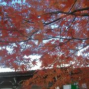 もみじ寺　犬山寂光院