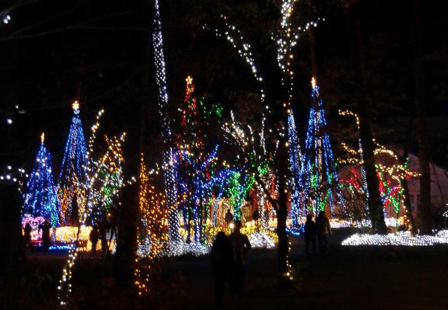 国営アルプスあづみの公園のイルミネーションは幻想的