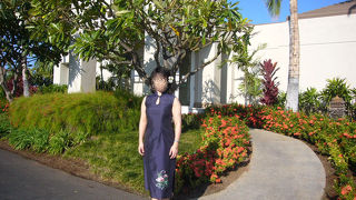 ＺＡＫＫＡ　ワンピースお気に入り