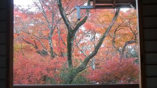 紅葉の見事さであまりに有名です