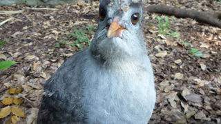 無料だが。。。