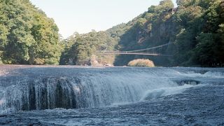 間近で見る迫力