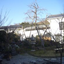 甲府湯村温泉 柳屋