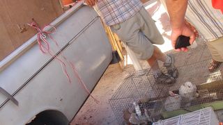 ヴァレッタのＳｕｎｄａｙ　Ｍａｒｋｅｔ！