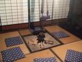 民宿さわぐち 写真