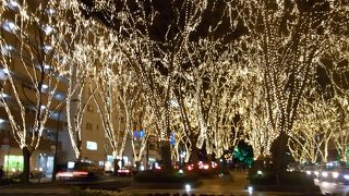 予想外にきれい