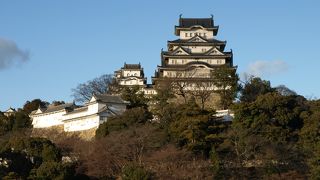 日にちと時間に注意
