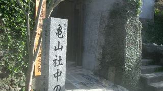 龍馬、龍馬とさわがしい