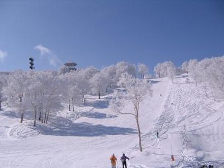 野沢温泉スキー場　愛徳 写真