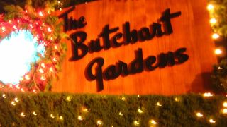 美しい英国式ガーデンを見た