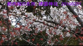 大都会なのに、のんびりできる驚き