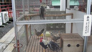 天然記念物の東天紅の日枝神社、永田町散策の巻