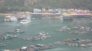 ラマ島で海鮮とバーならこのお店