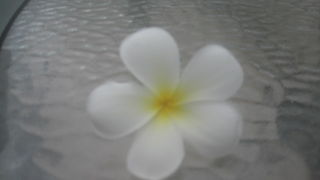 ガイドは、２ヶ国語から選択します！