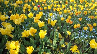 四季折々楽しめる無料の公園♪