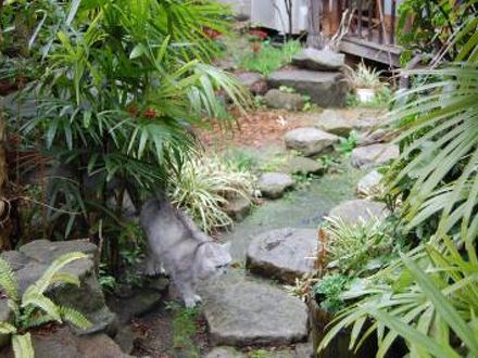 民宿 おやじの海 ＜直島＞ 写真