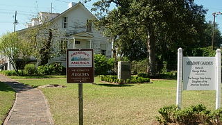 メドウ ガーデン