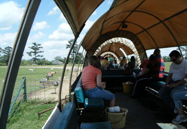 グローバル ワイルドライフ センター