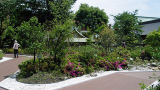 回遊式・屋上緑園の「鎮守の森」が完成の明神様、神田明神散策の巻