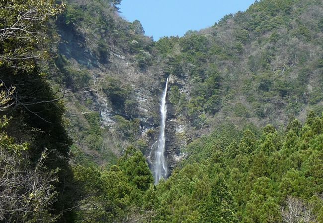 高知県の隠れた名瀑 『小金滝』