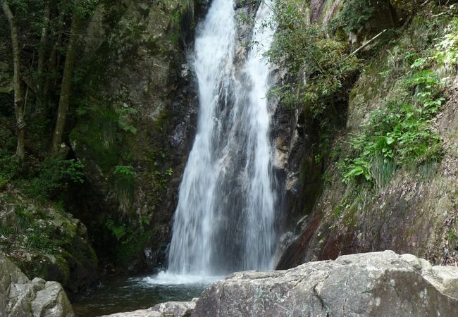 滋賀県随一の落差を誇る滝