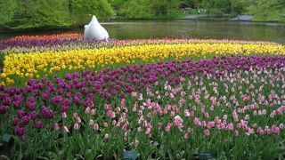 キューケンホフ公園のチケット