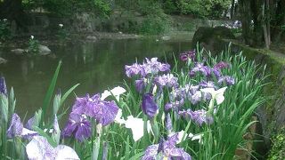 水前寺成趣園（すいぜんじじょうじゅえん）