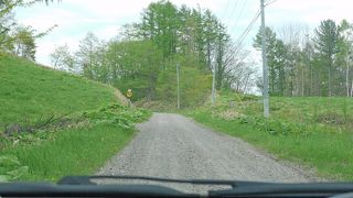 十勝ヶ丘展望台の奥の道が北欧を彷彿させる道