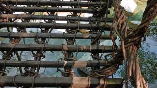 かずら橋はスリルがあり最高！