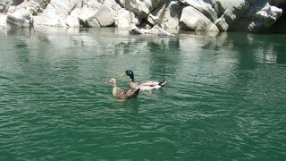 ☆大歩危遊覧船☆