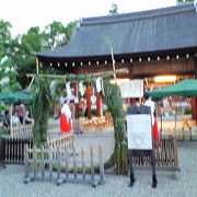 春日神社で「夏越の祓」