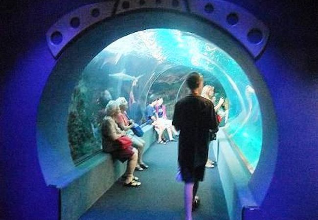 マウイ オーシャン センター