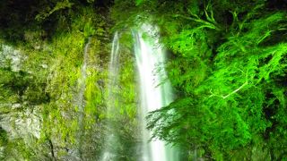 夏にはライトアップされます